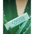 Oyess BIO - Natürlicher Lippenbalsam (Aloe Vera)